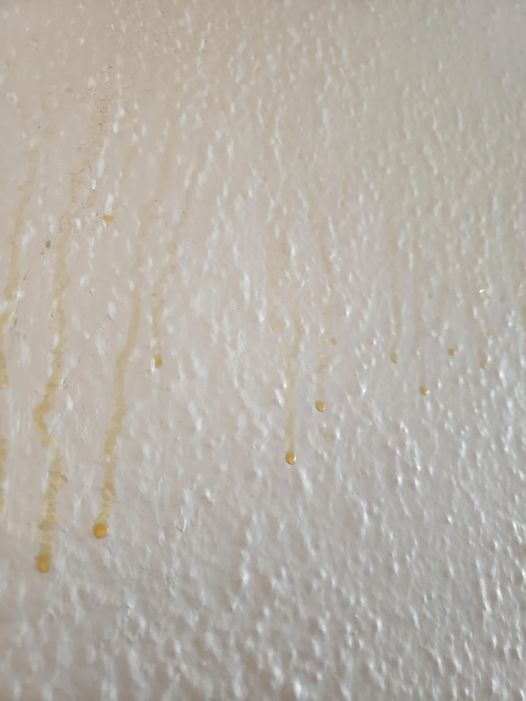 Are Yellow Streaks Showing Up on Your Bathroom Walls? Here’s What Could ...
