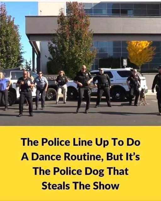 The Police Line Up to Do a Dance Routine, But Itβs The Police Dog That ...