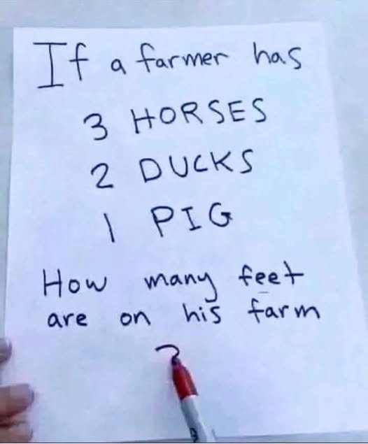 Foot Cow Key Riddle Riddle Time: Can You Count the Number of Feet on the Farm? - Weveryday ...