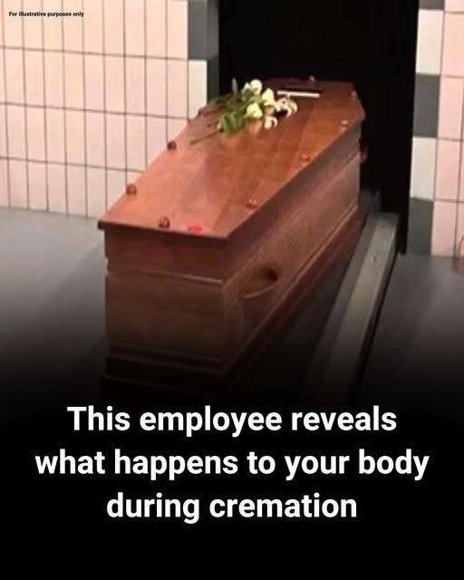 This is what really happens during cremation, and it’s not pretty ...