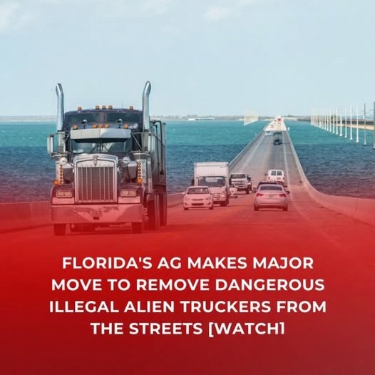 Florida’s AG Makes Major Move to Remove Dangerous Illegal Alien ...