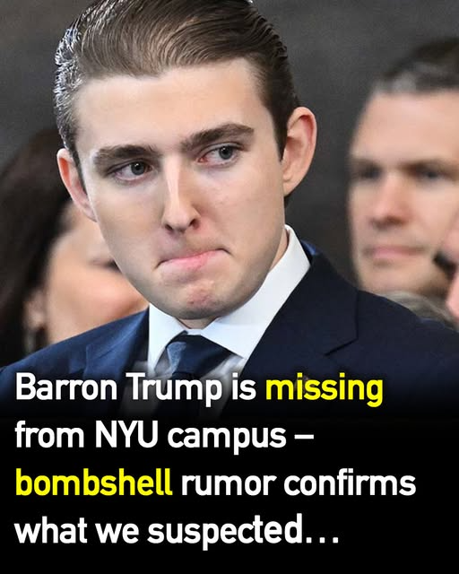 Why Barron Trump is missing from NYU campus - Weveryday Stories