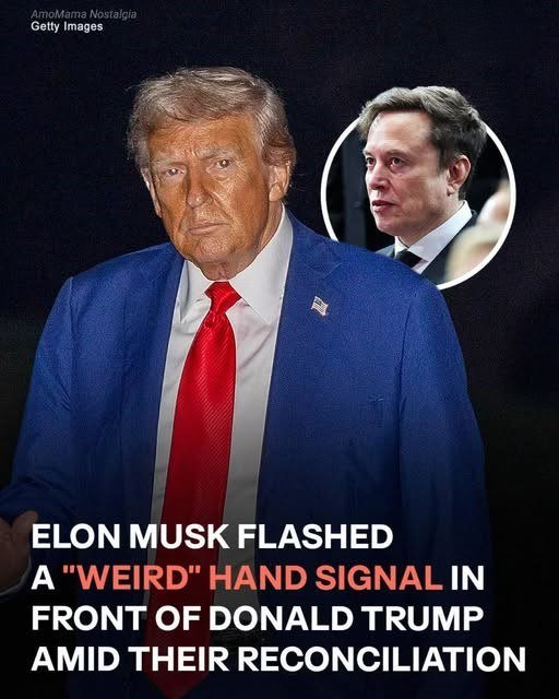 Donald Trump and Elon Musk Reunite at Charlie Kirk’s Memorial Months ...