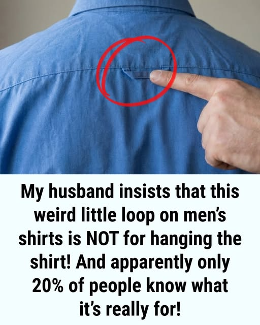 Why Button-Down Shirts Feature a Loop on the Back - Weveryday Stories